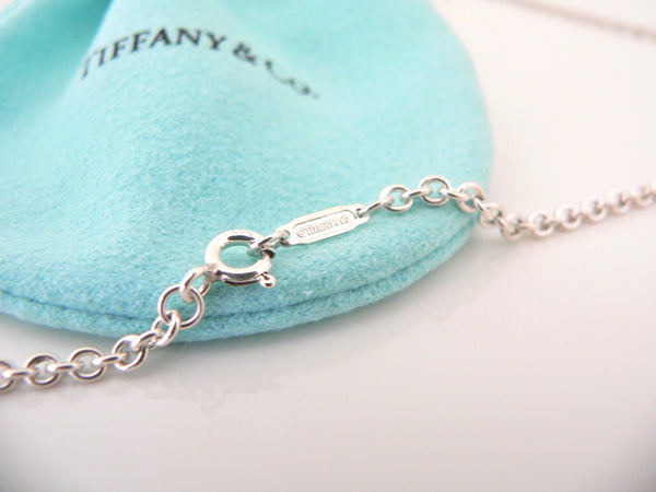 Tiffany & Co Eagle Charm Necklace 18 Inch Thicker Chain Silver Cool Nature Gift