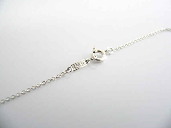 Tiffany & Co Return Oval Tag Necklace Charm Pendant Chain Silver Gift Love Rare