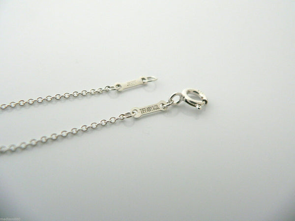 Tiffany & Co Silver Apple Necklace Pendant Chain Gift Teacher Love 18 Inch Long