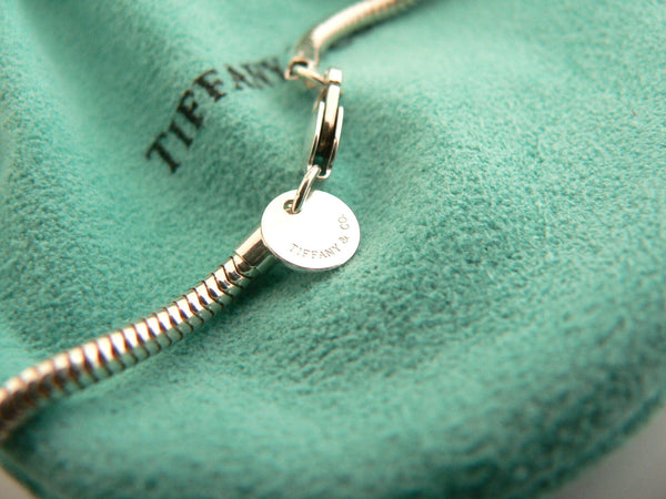 Tiffany & Co Silver Tassel Dangle Dangling Necklace Pendant 23.9 In Chain Gift