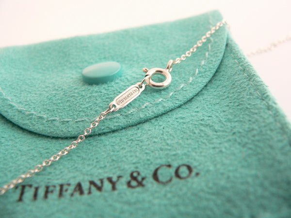 Tiffany Co Diamond Daisy Key Necklace Nature Pendant 18 In Chain Silver Gift Art