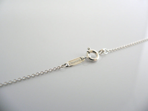 Tiffany & Co Silver Open Flower Nature Necklace Pendant Chain Charm Gift
