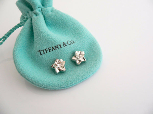 Tiffany & Co Silver Star Aventurine Green Gemstone Earrings Studs Gift Pouch Art