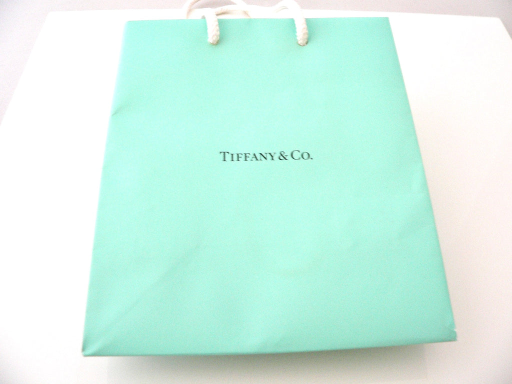 shopping tiffany bag