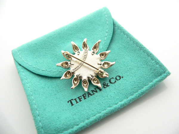 Tiffany & Co Sun Pin Nature Brooch Love Gift Pouch You are my Sunshine Statement