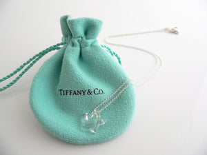 Tiffany & Co Silver Peretti Rock Crystal Star Necklace Pendant Rare Gift Pouch