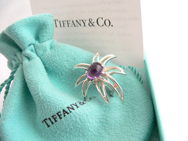 Tiffany & Co Amethyst Earrings Gemstone Fireworks Clip On Love Gift Pouch Art